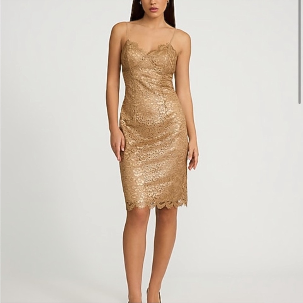 NWT Express $118 Gold metallic sweetheart Lace Midi slip Dress Sz M